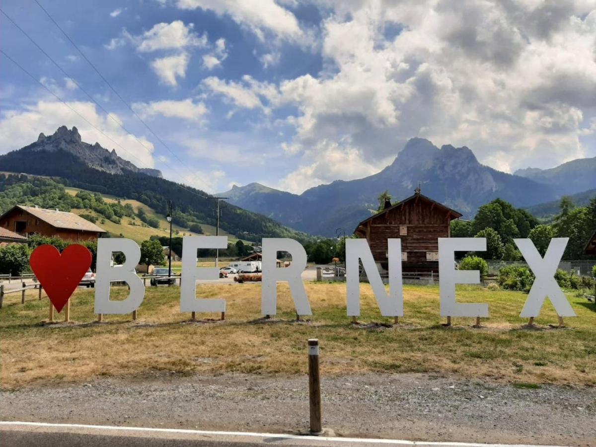 Le 67,Ski Et Randonnee,Lave Linge,Seche Linge,Parking Bernex Exteriér fotografie
