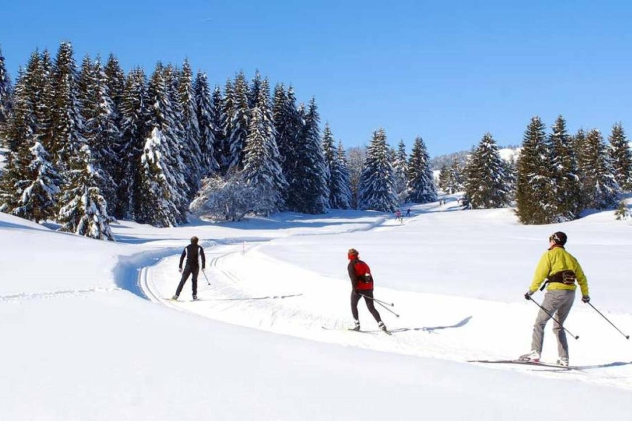 Le 67,Ski Et Randonnee,Lave Linge,Seche Linge,Parking Bernex Exteriér fotografie