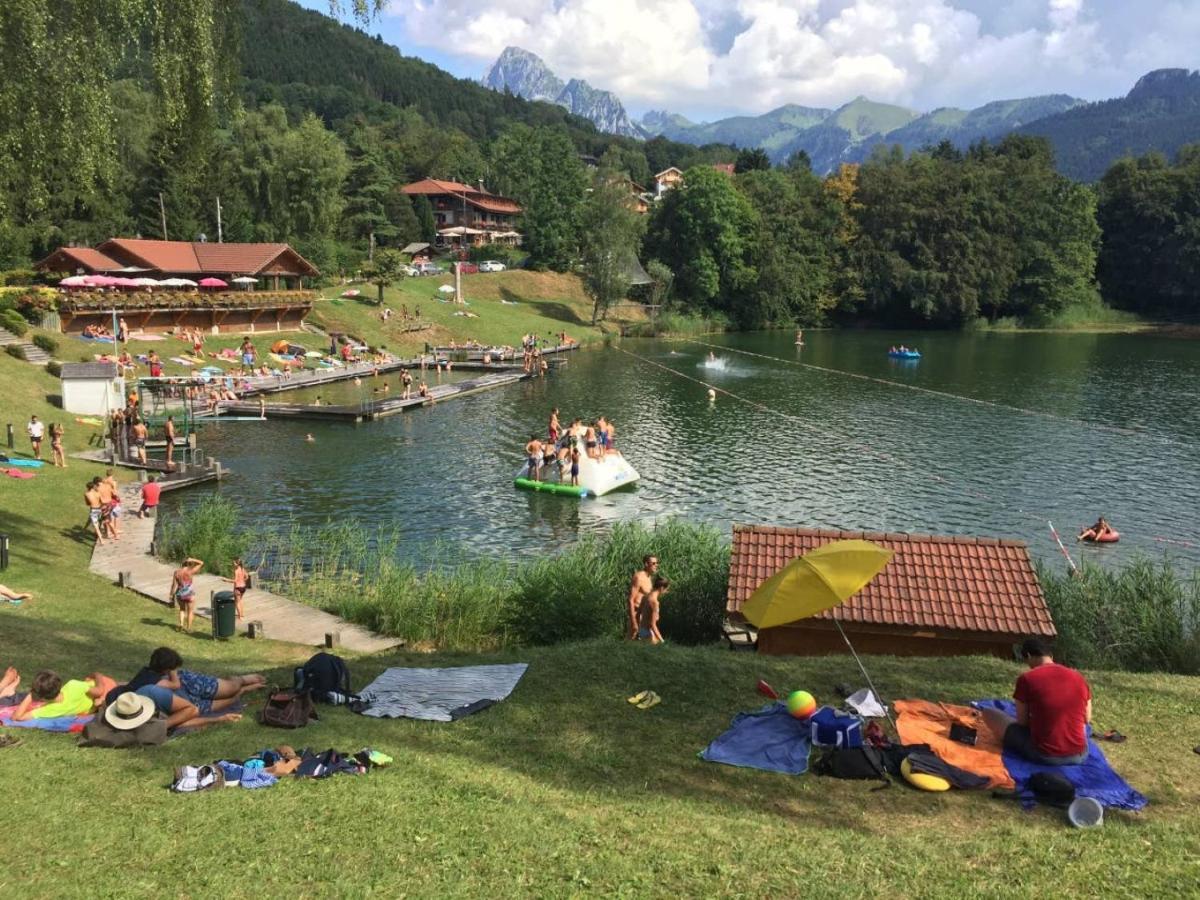 Le 67,Ski Et Randonnee,Lave Linge,Seche Linge,Parking Bernex Exteriér fotografie