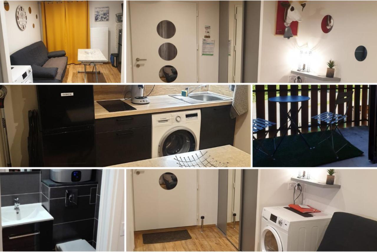 Le 67,Ski Et Randonnee,Lave Linge,Seche Linge,Parking Bernex Exteriér fotografie